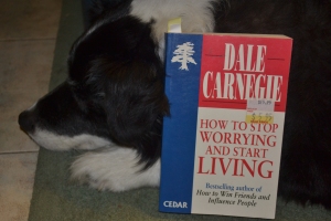 He's a smart dog. He even managed to get it on sale.