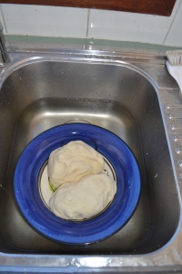 The dough looks surprising "normal" rising in the sink after all that action from the kids.