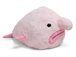 Blobfish looking plush.