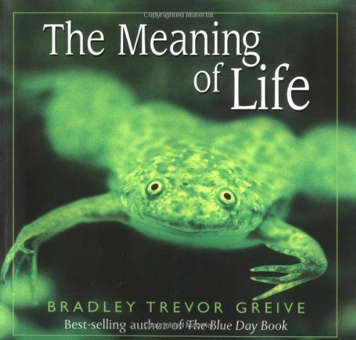 Meaning of Life Grieve